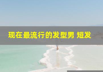 现在最流行的发型男 短发